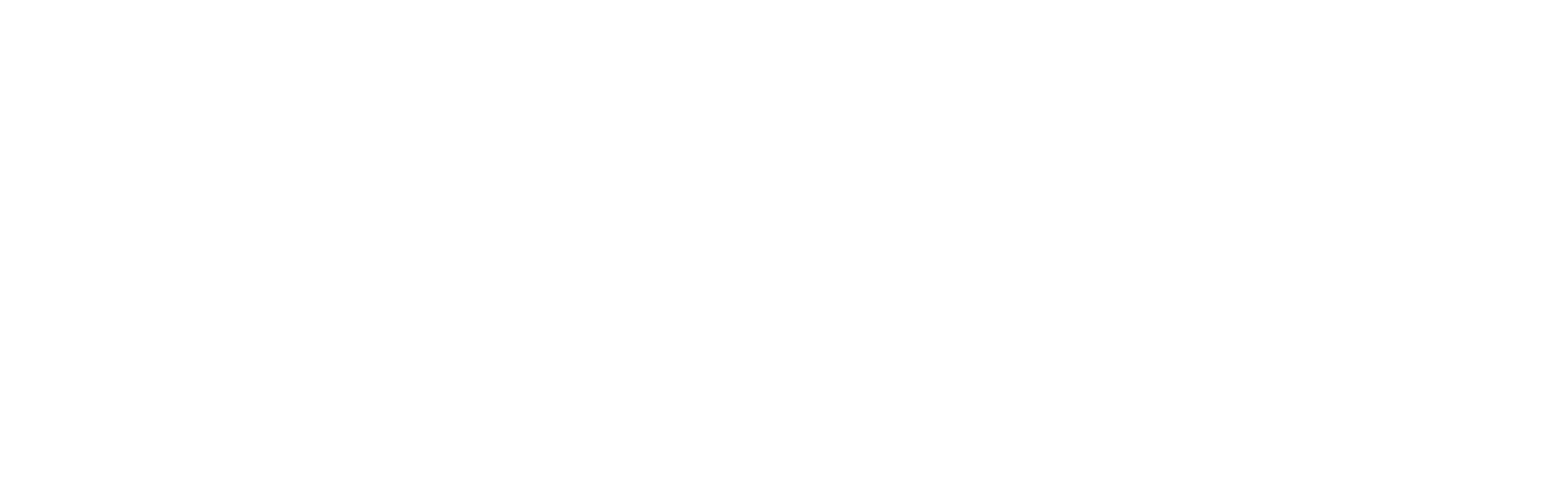 ParGoAI_Logo_White-1